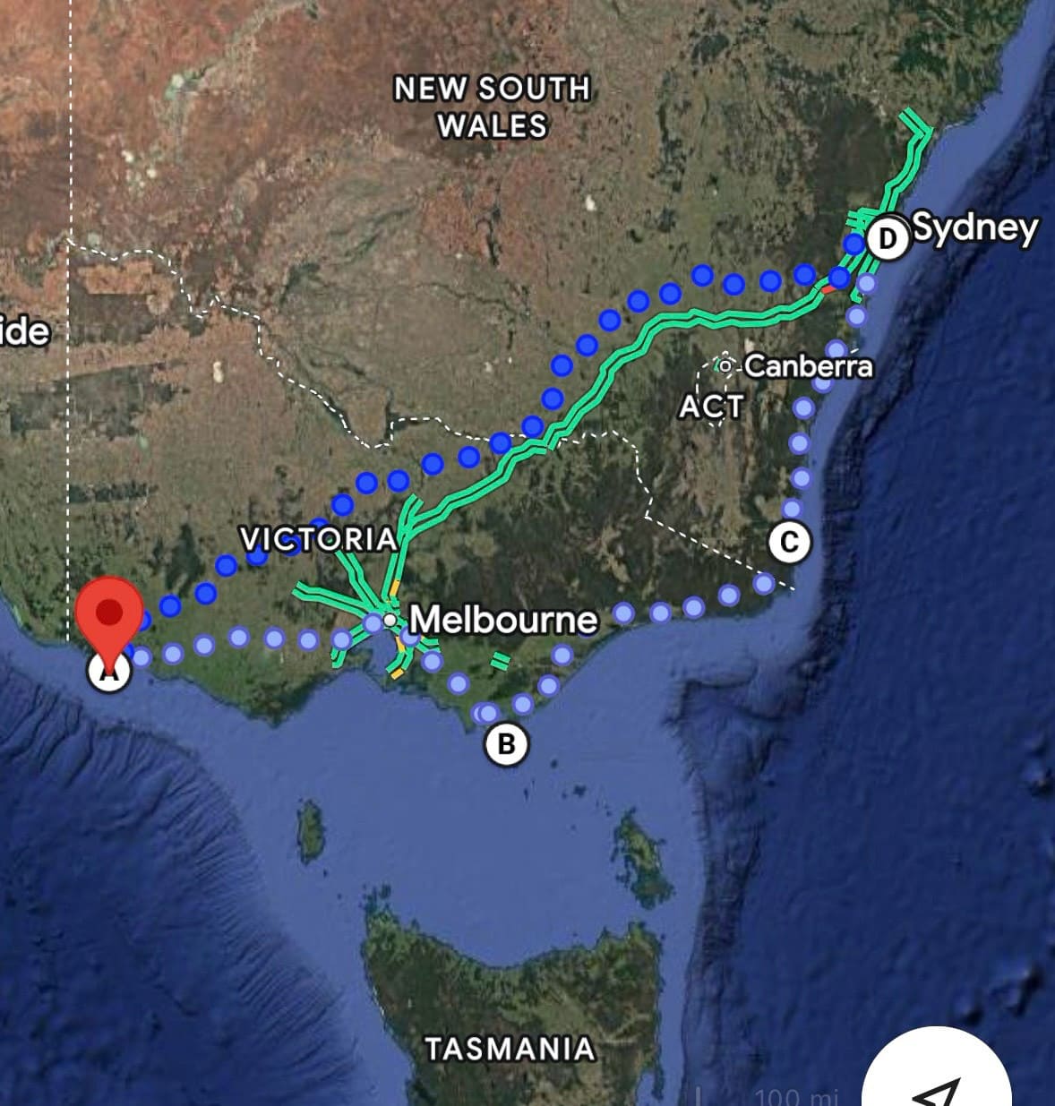 ｜「超珍しい」野生のコアラに遭遇！釣って、走って、出会った2800km。オーストラリア・メルボルンロードトリップ。