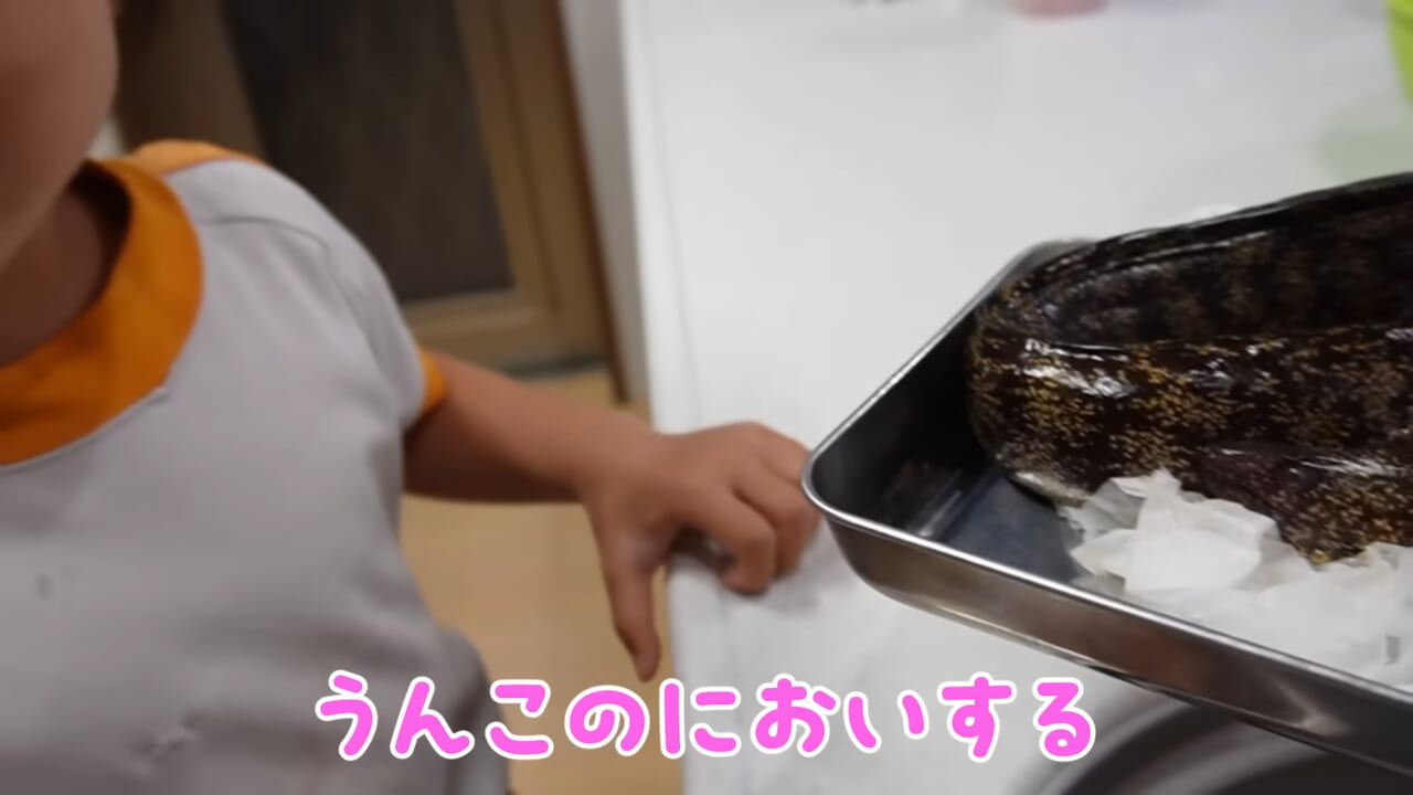 |「嚙まれたらエグれる…」「アレの匂い」海のプールに取り残された『モンスター』を捕獲。実際に食べてみた結果。