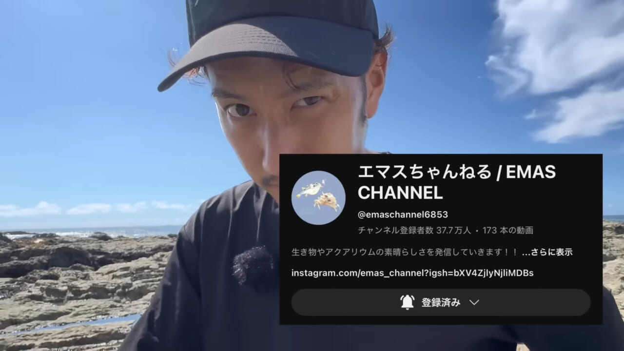 ｜「コレ、普通に捕まります」“磯の水”を全部抜いたら、出てきたものがヤバすぎた。「海保に通報です」