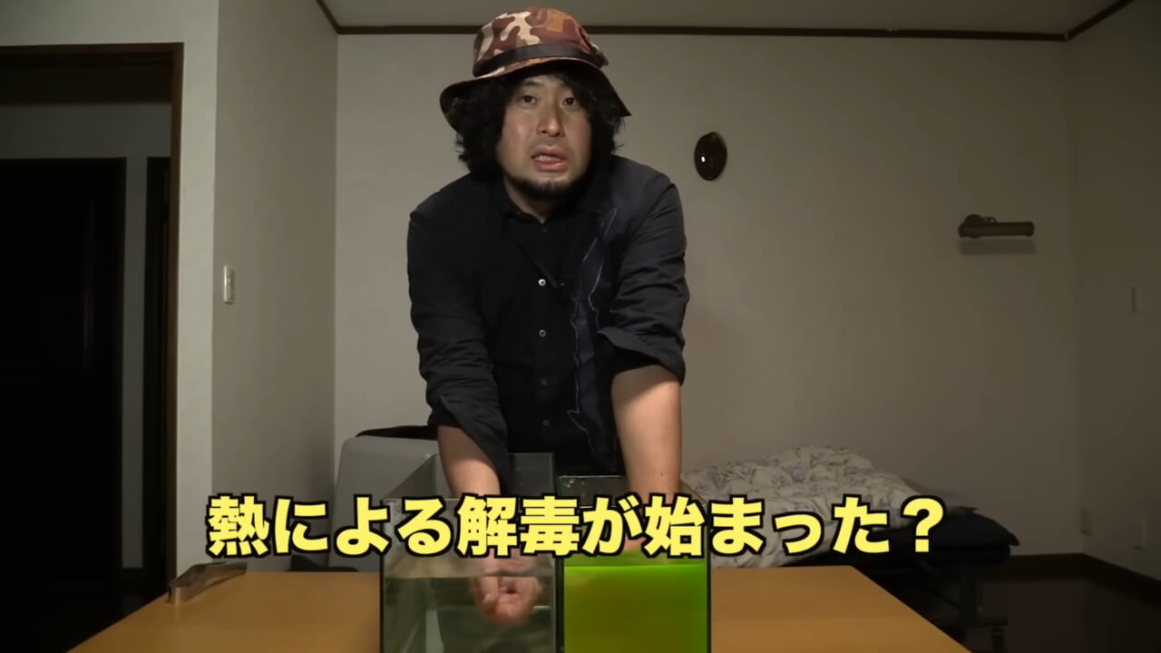 |「身体張りすぎやん…」「刺されて検証」毒魚”ゴンズイ”に刺されたら入浴剤で治るは本当なのか…