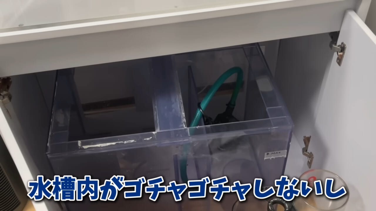 |「そんなことあるかぁ!」鮮魚店で売っていた『ウツボ』をペットにしたらヤバすぎた。衝撃の飼育シーンに話題殺到。