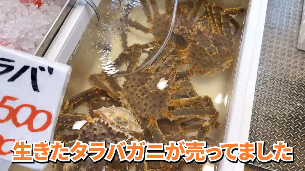 |「マジで育てるのか…」お風呂で『タラバガニ』を飼ったら…。「死んだら食材です」驚きの動画に話題殺到。
