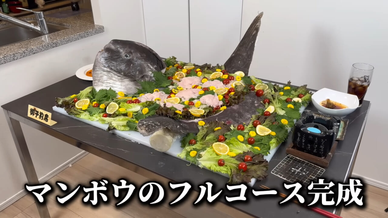 ｜「脳みそ小さすぎ」「これは脱帽だわ」マンボウをさばいた結果がとんでもなかった。