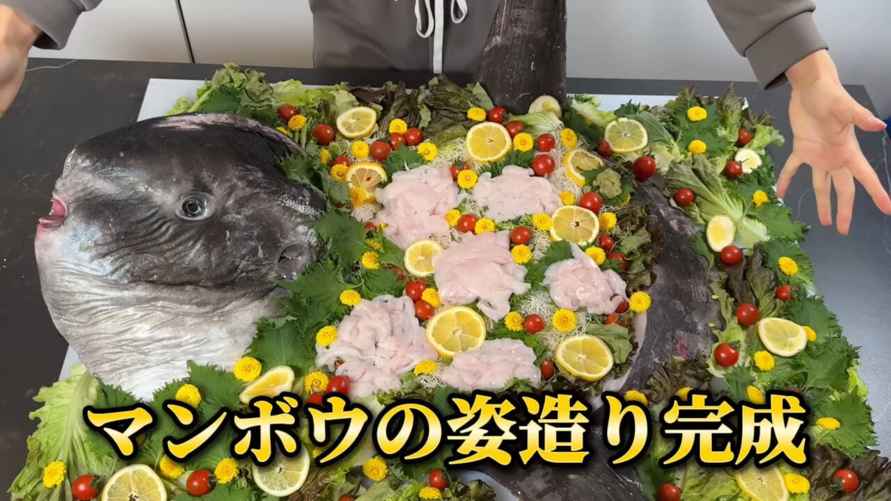 ｜「脳みそ小さすぎ」「これは脱帽だわ」マンボウをさばいた結果がとんでもなかった。