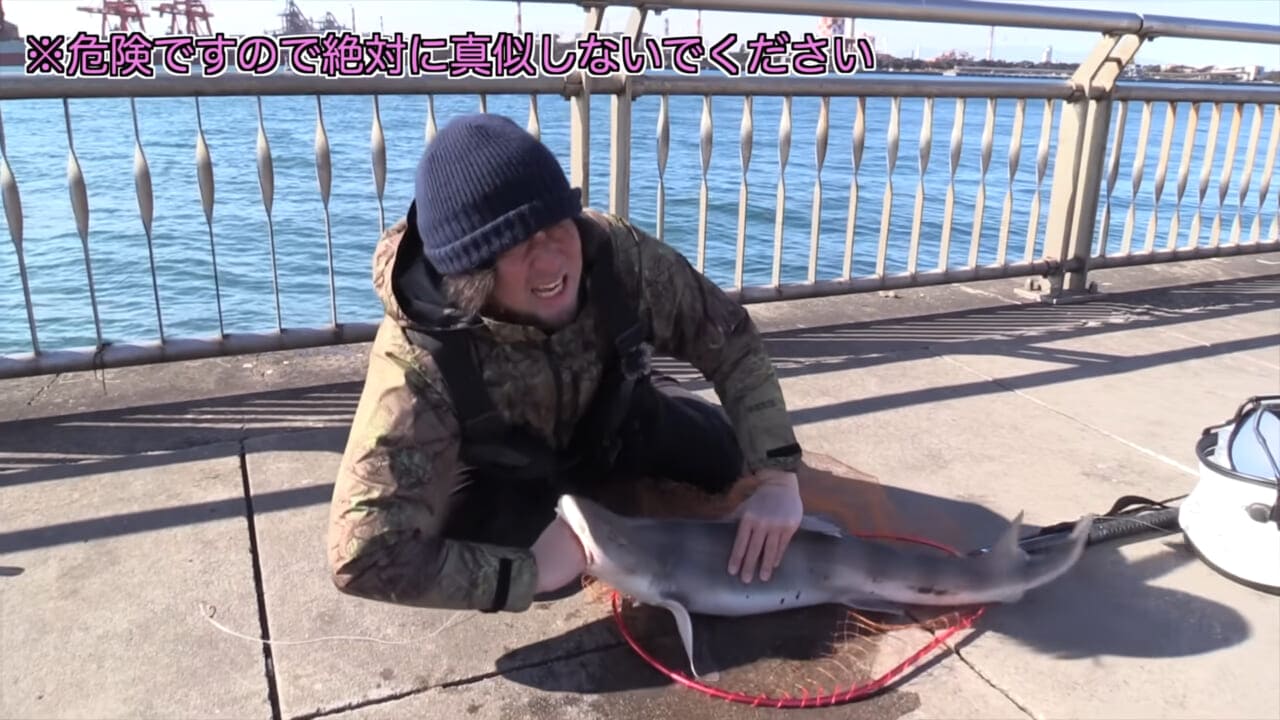 ｜「マジかよ。やばすぎ」「危険すぎる…」サメに噛まれるとどうなるのか身をもって検証したYouTuberがやばすぎた…