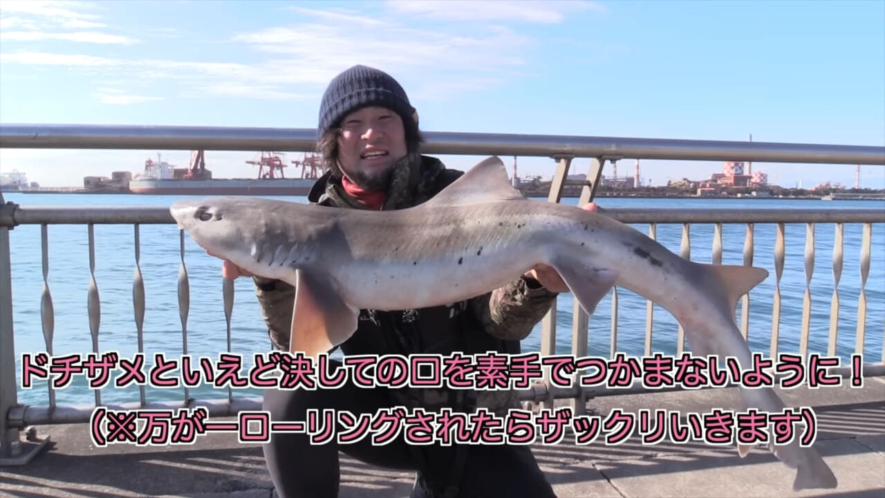 ｜「マジかよ。やばすぎ」「危険すぎる…」サメに噛まれるとどうなるのか身をもって検証したYouTuberがやばすぎた…