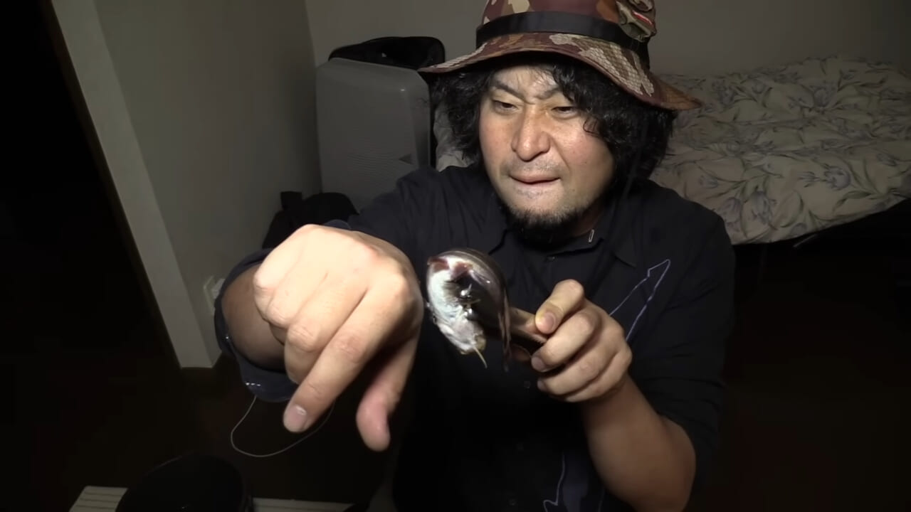 ｜「身体張りすぎやん…」「刺されて検証」毒魚”ゴンズイ”に刺されたら入浴剤で治るは本当なのか…