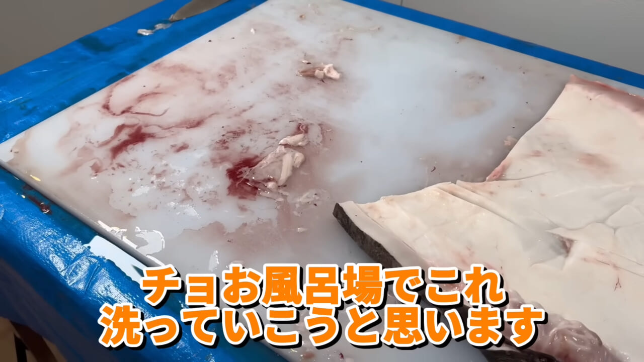 ｜「脳みそ小さすぎ」「これは脱帽だわ」マンボウをさばいた結果がとんでもなかった。