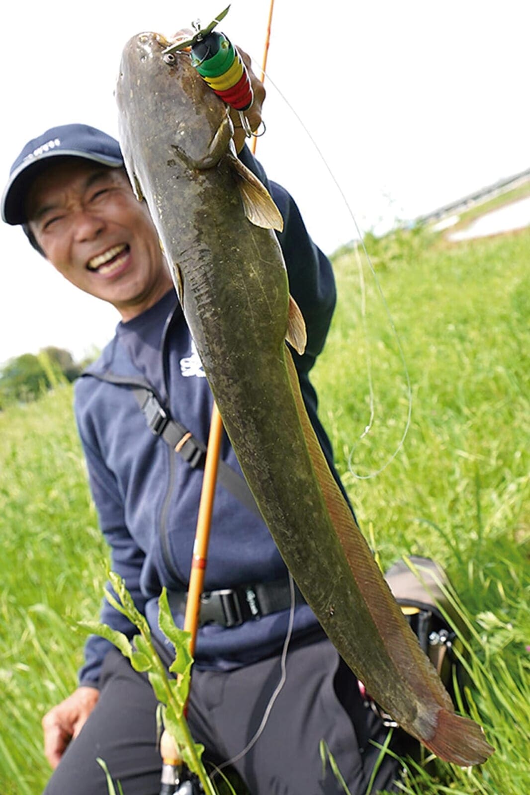 |低水温・ハイプレッシャーでも釣れるナマズの最終兵器!「キャタピーソフト60」を『鯰人』が実釣解説。