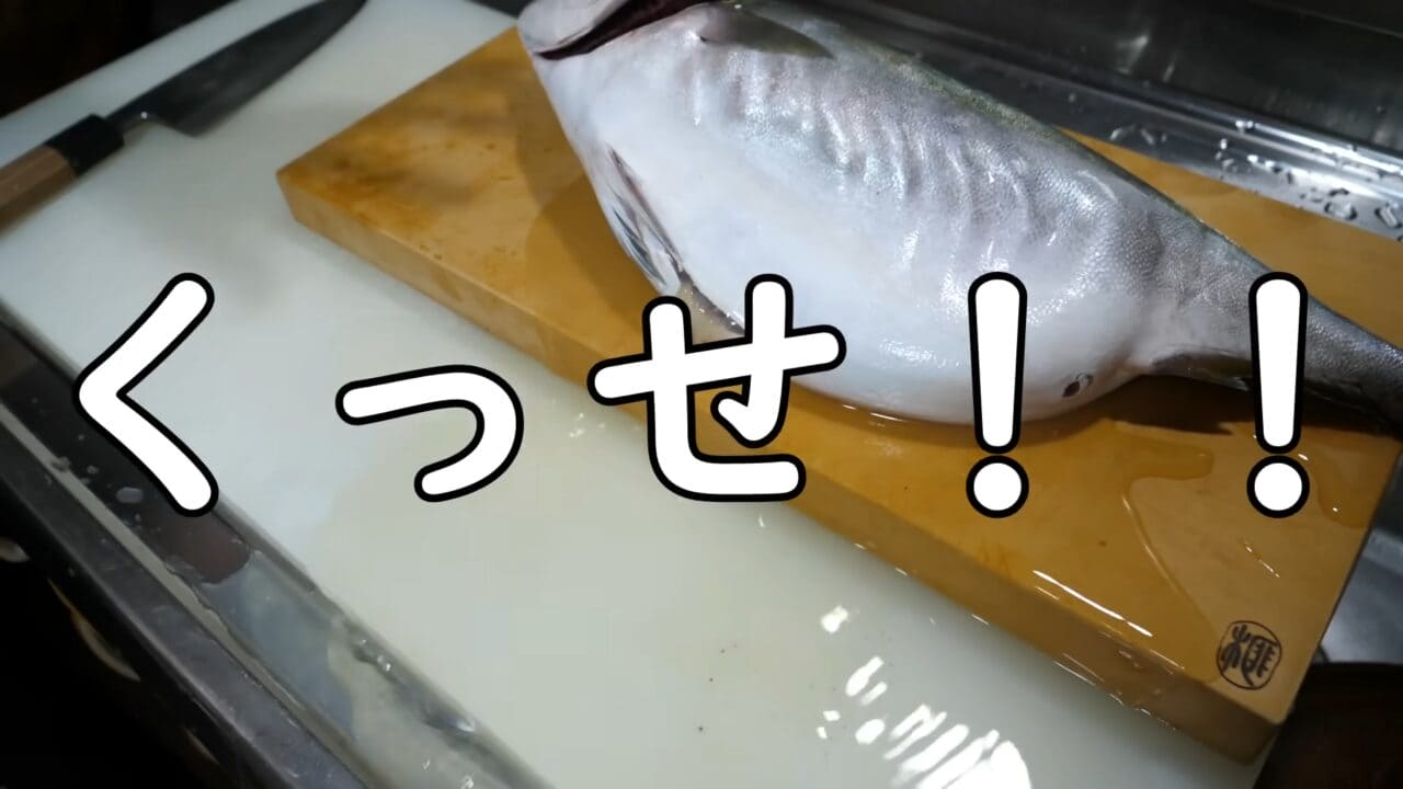 ｜「えーっ！」異常なまでに腹が膨れた『ハマチ』を発見→持ち帰ってお腹を割ったら、“衝撃的”な瞬間に。「こんなのはじめて見た」