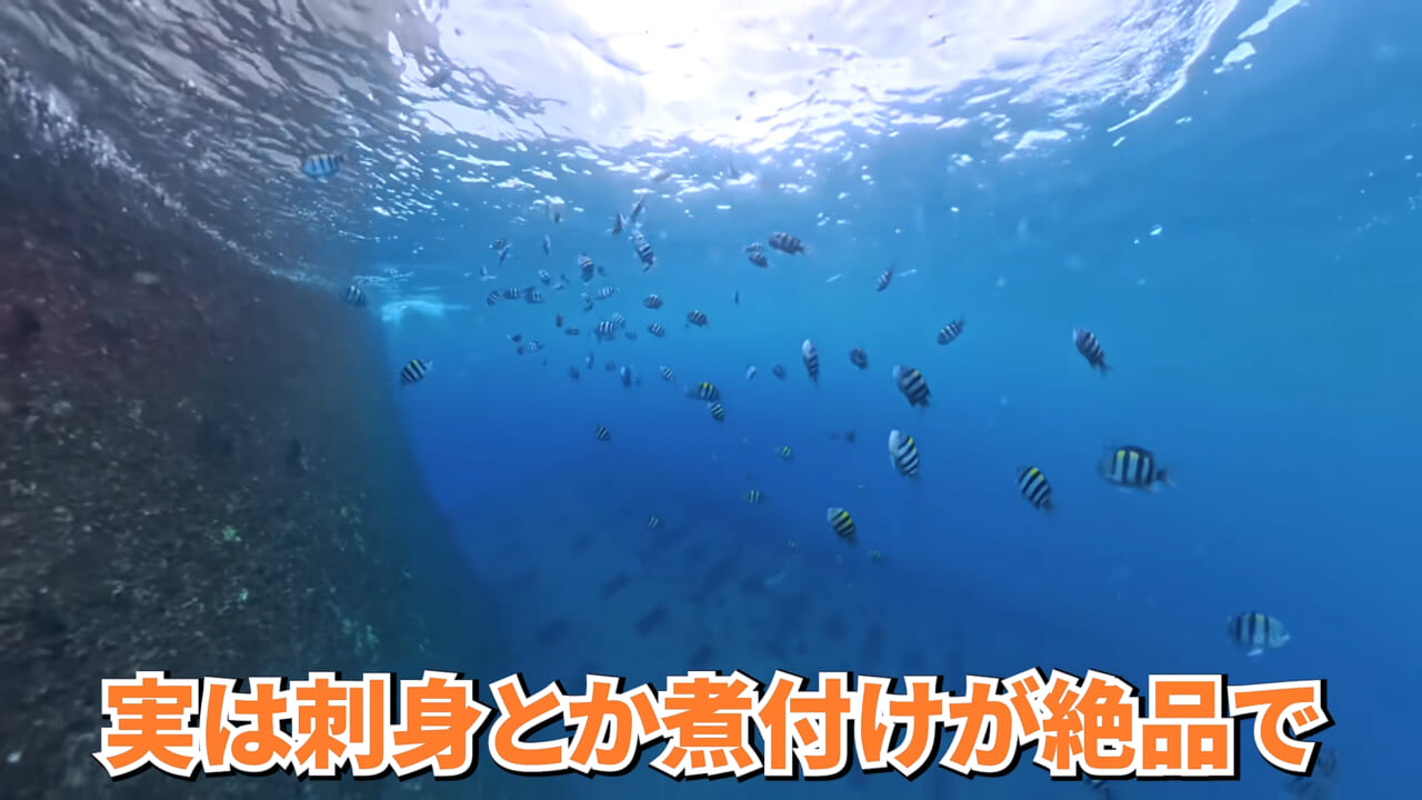 ｜「やばい、コレきたわ…」「人を海へ引きずり込む」世界最大の『化け物アジ』が潜む海の上で3日間過ごしてみたら…。