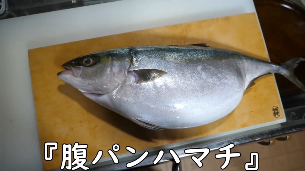 |「えーっ!」異常なまでに腹が膨れた『ハマチ』を発見→持ち帰ってお腹を割ったら、“衝撃的”な瞬間に。「こんなのはじめて見た」