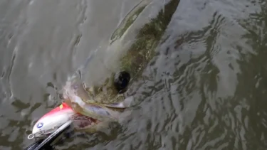 流れに置くと馴染ませるイメージ（ミマッキー）