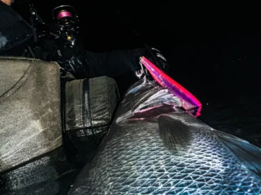 鹿児島で面白い秋の必須アイテム「モンスタースライダー160F」（いわじー）