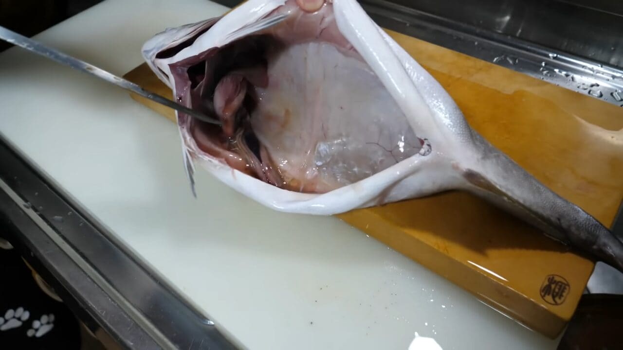 ｜「えーっ！」異常なまでに腹が膨れた『ハマチ』を発見→持ち帰ってお腹を割ったら、“衝撃的”な瞬間に。「こんなのはじめて見た」