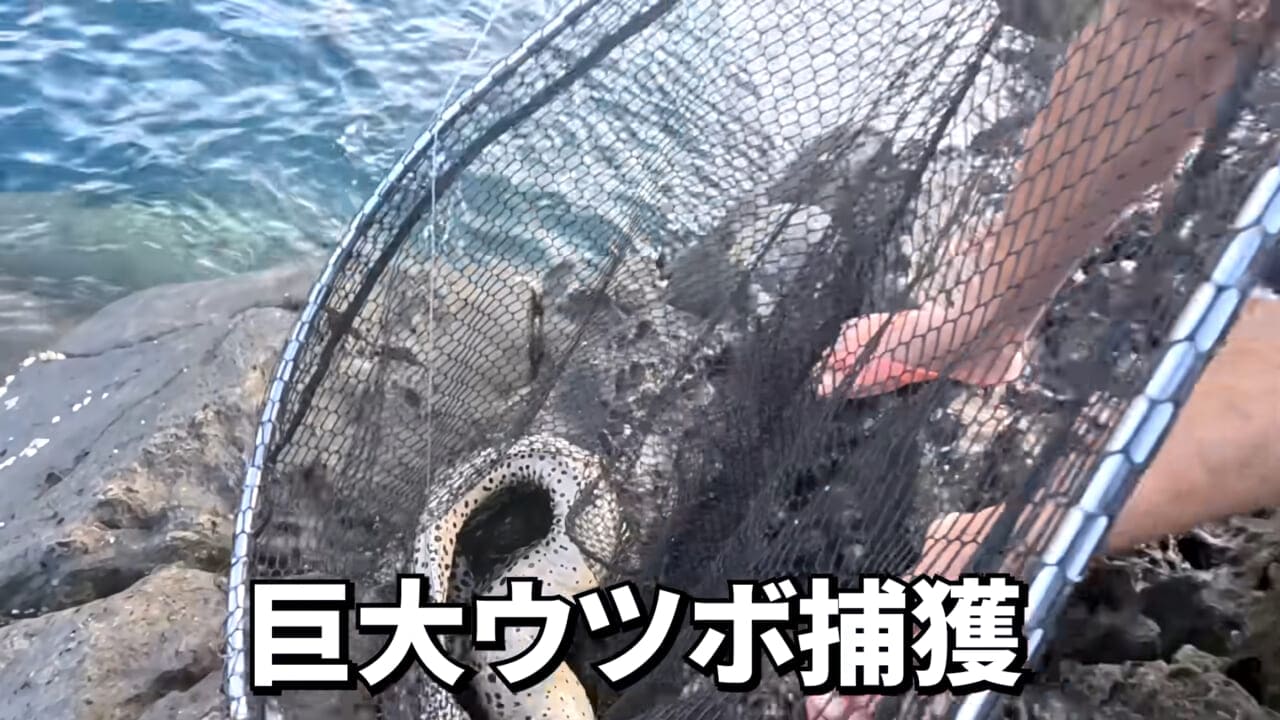 ｜「やばい、コレきたわ…」「人を海へ引きずり込む」世界最大の『化け物アジ』が潜む海の上で3日間過ごしてみたら…。