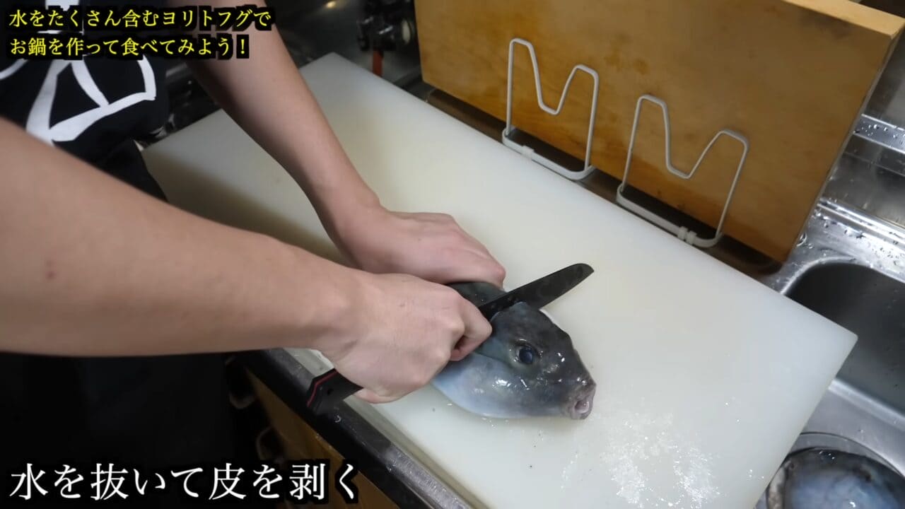 ｜「かわいすぎて笑った」まな板に並べられた『謎のボール魚』を解体。パンパンに詰まった体から出てきた中身が…。