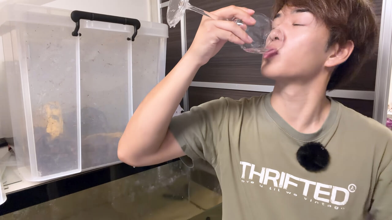 ｜スーパーで売っていた『白い塊』→水槽に入れたら思わぬ結果に。「すごい、貴重な映像」「めっちゃ可愛い」