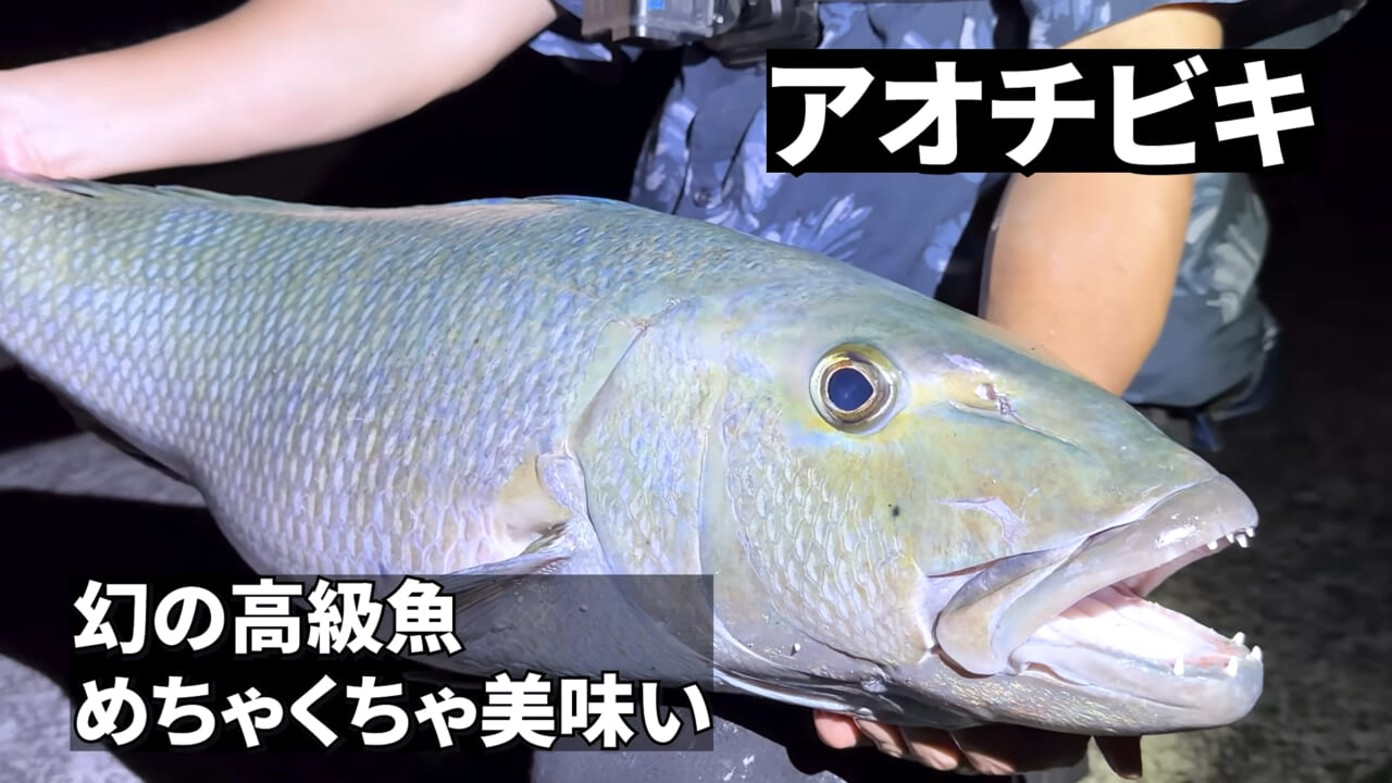 ｜「やばい、コレきたわ…」「人を海へ引きずり込む」世界最大の『化け物アジ』が潜む海の上で3日間過ごしてみたら…。