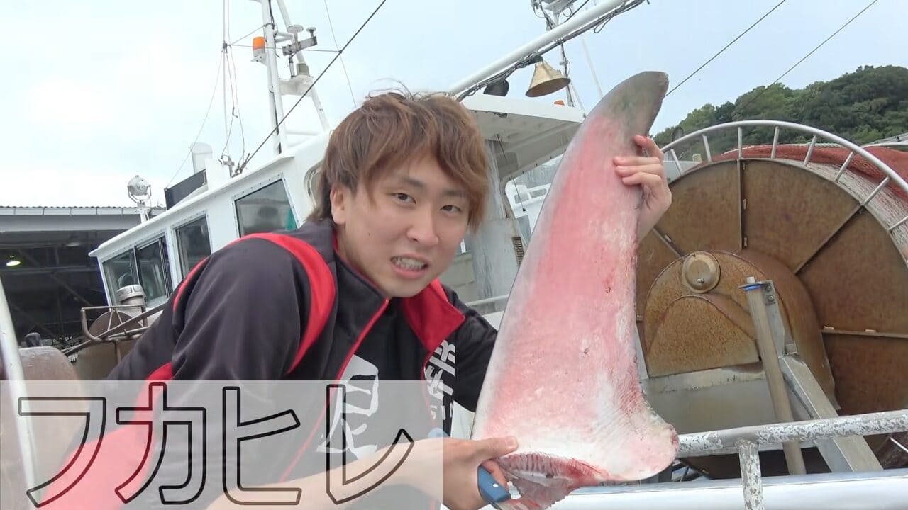 ｜「異常な臭い」「やばいです」水揚げされた『巨大ザメ』を解体。“ふくれた腹”から出てきた中身に撮影者も困惑。「なんだこれ…」