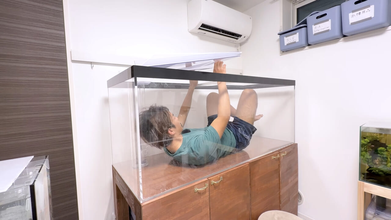 |スーパーに売っていた“瀕死のイカ”→連れて帰って水槽に入れたら…。数日後の姿に「なんだか泣けてきた」「マジで感動」