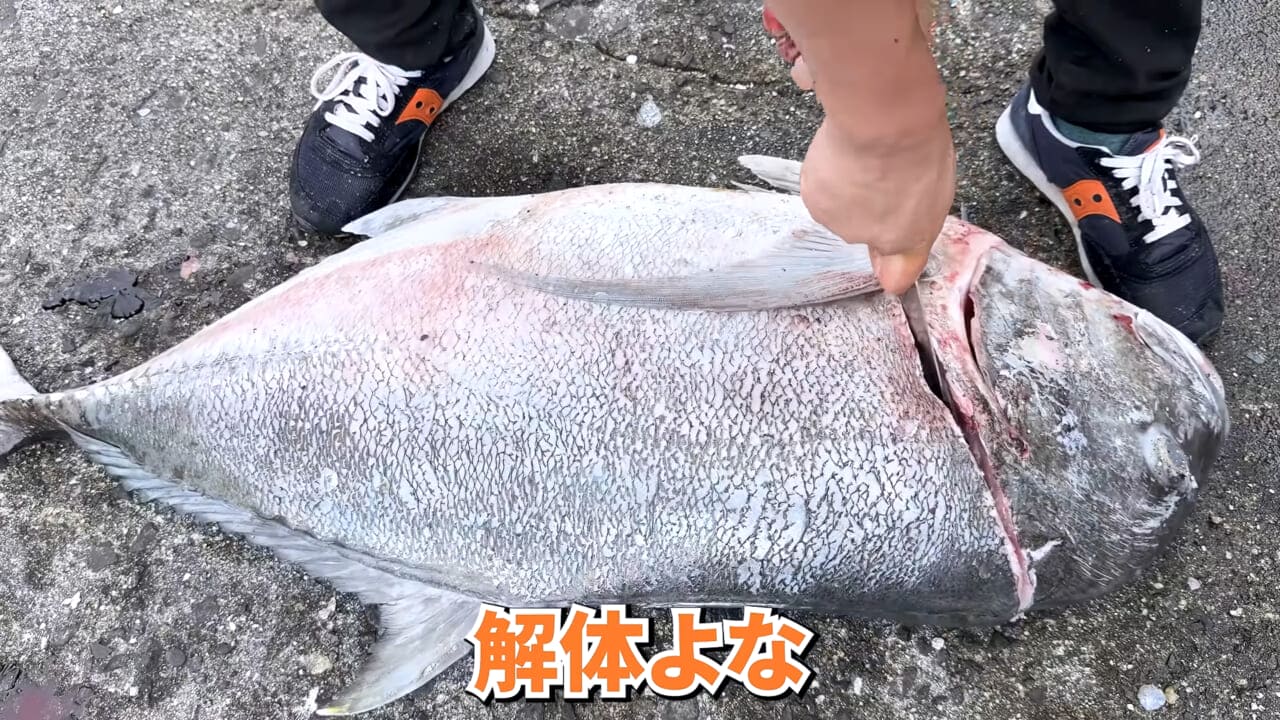 ｜「やばい、コレきたわ…」「人を海へ引きずり込む」世界最大の『化け物アジ』が潜む海の上で3日間過ごしてみたら…。