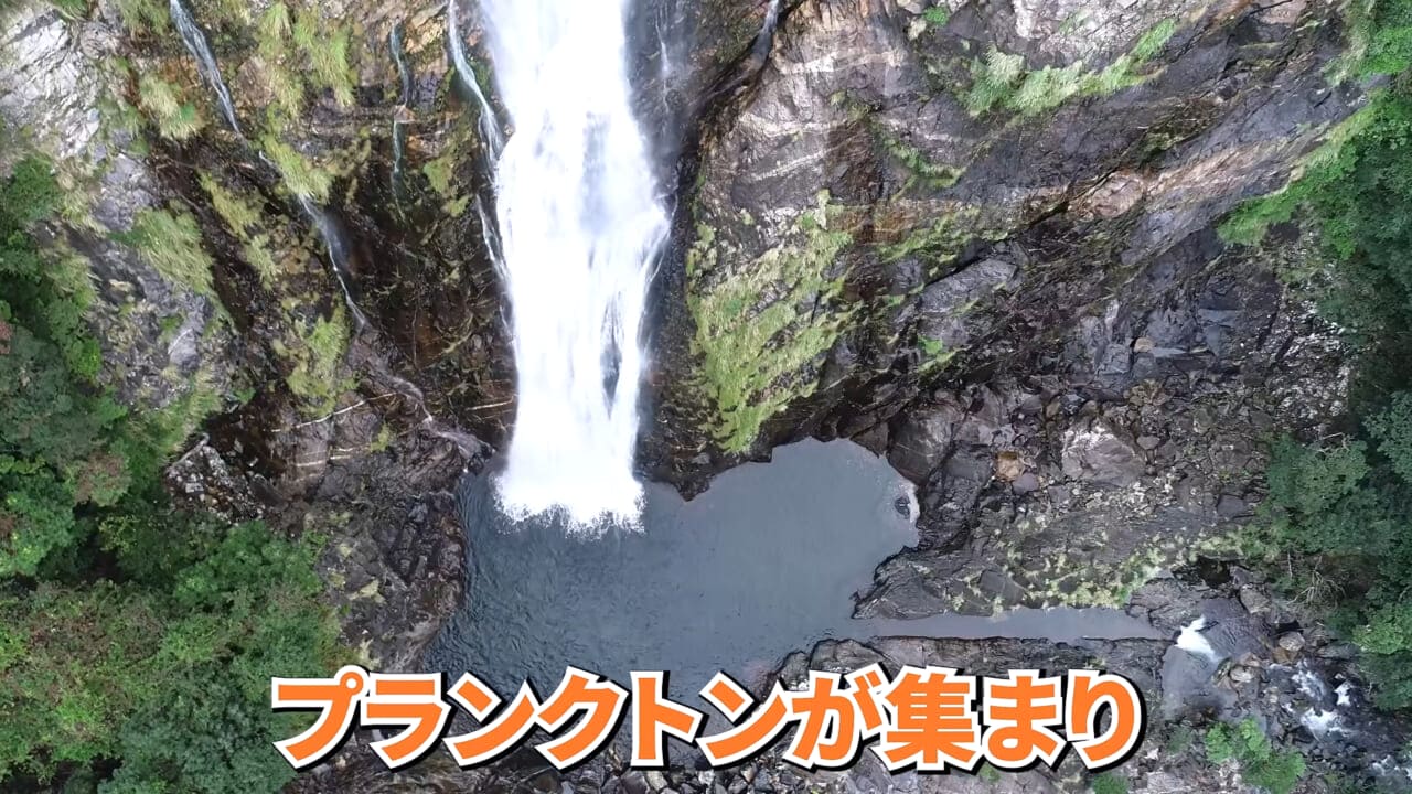 |「やばい、コレきたわ…」「人を海へ引きずり込む」世界最大の『化け物アジ』が潜む海の上で3日間過ごしてみたら…。