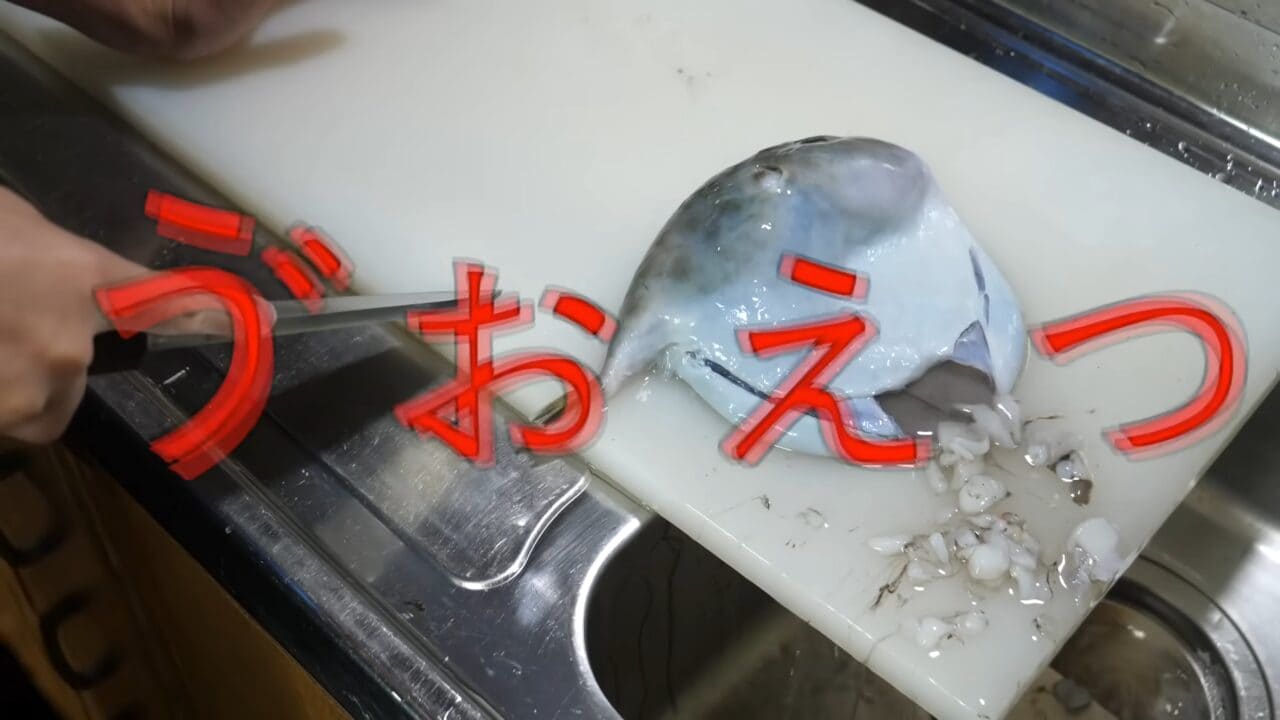 ｜「うわぁー！」全身『水』のフグを割ってみた。出てきた中身に撮影者も驚愕。「こんなの食べてるんだ」「クサい」