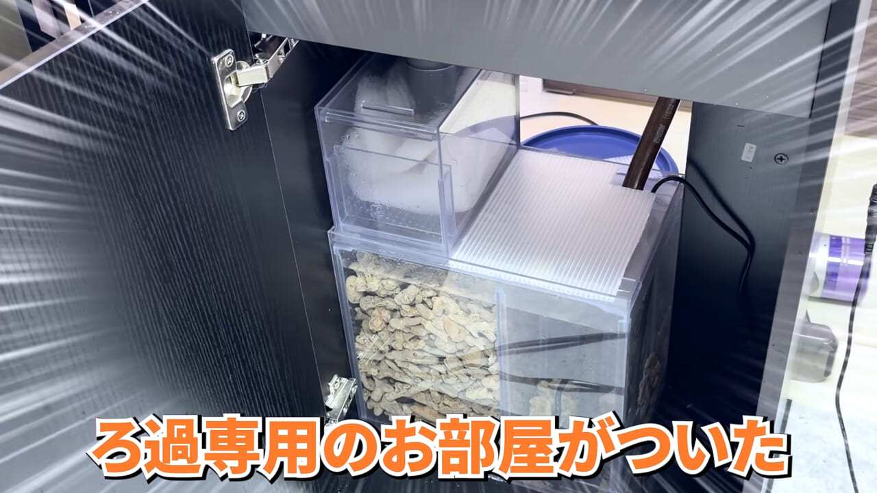 |スーパーで売っていた『白い塊』→水槽に入れたら思わぬ結果に。「すごい、貴重な映像」「めっちゃ可愛い」