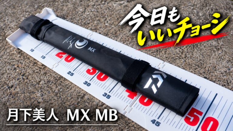 コンパクトに持ち運べるライトゲームロッド！ 『月下美人 MX MB』で楽しむ外房アジング【今日もいいチョーシ】