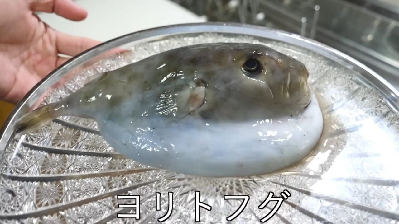 ｜「うわぁー！」全身『水』のフグを割ってみた。出てきた中身に撮影者も驚愕。「こんなの食べてるんだ」「クサい」