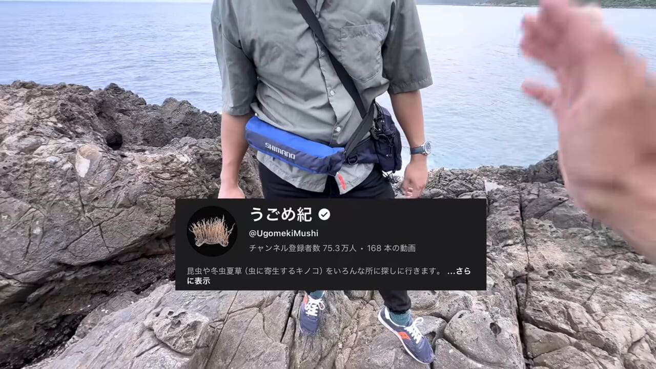 |「やばい、コレきたわ…」「人を海へ引きずり込む」世界最大の『化け物アジ』が潜む海の上で3日間過ごしてみたら…。