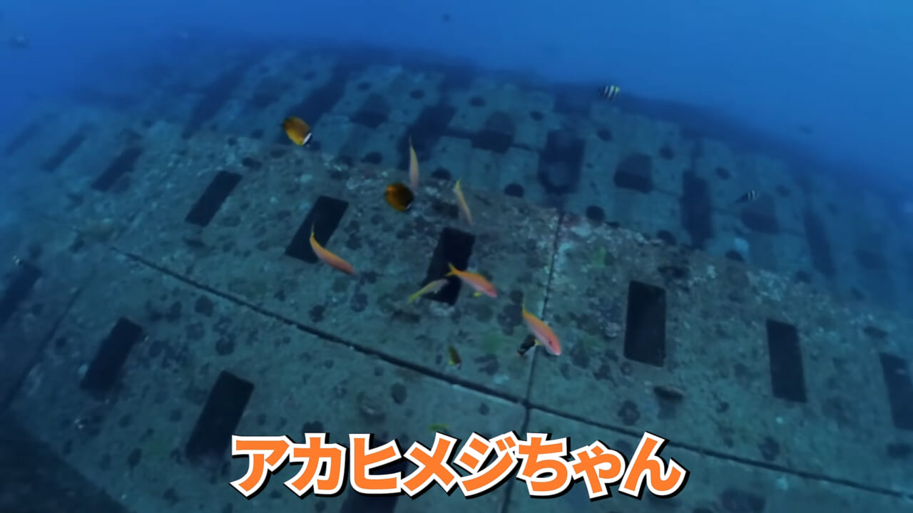 ｜「やばい、コレきたわ…」「人を海へ引きずり込む」世界最大の『化け物アジ』が潜む海の上で3日間過ごしてみたら…。