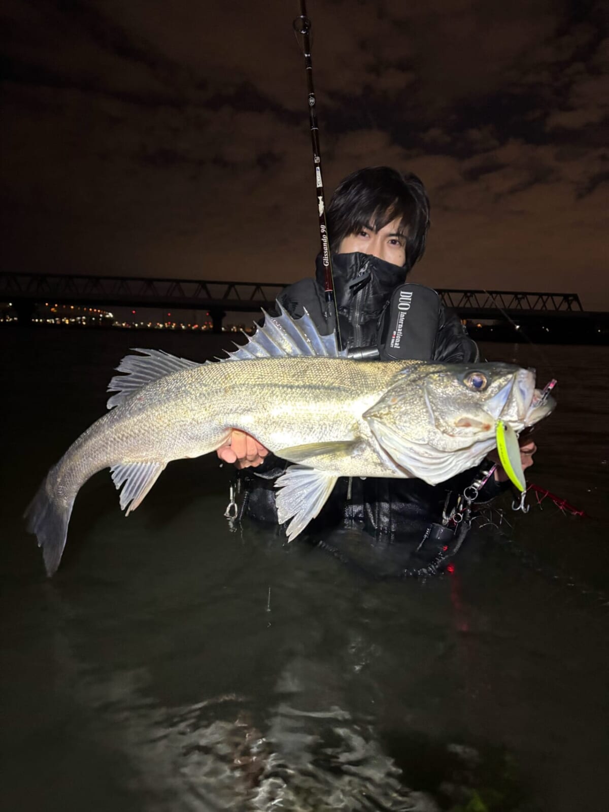 |「え!? そうなの?」「あなたは知ってる?」なぜ魚はみんな似た形なのか。水中で生きるためにたどり着いた“魚の形”の秘密。