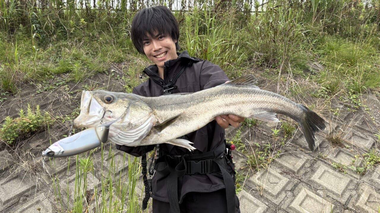 |「え!? そうなの?」「あなたは知ってる?」なぜ魚はみんな似た形なのか。水中で生きるためにたどり着いた“魚の形”の秘密。