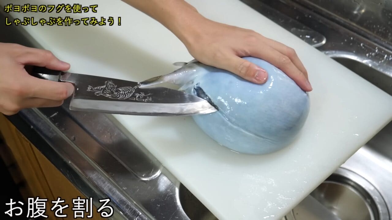 ｜「うわぁー！」全身『水』のフグを割ってみた。出てきた中身に撮影者も驚愕。「こんなの食べてるんだ」「クサい」