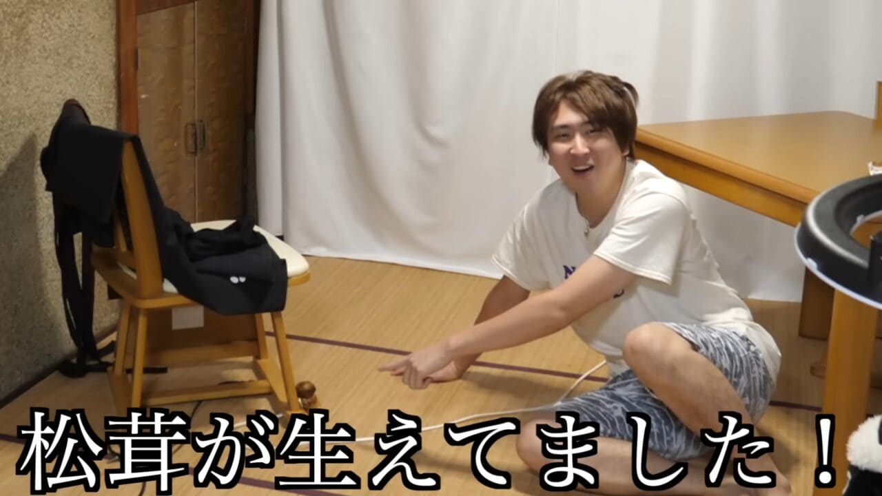｜「かわいすぎて笑った」まな板に並べられた『謎のボール魚』を解体。パンパンに詰まった体から出てきた中身が…。