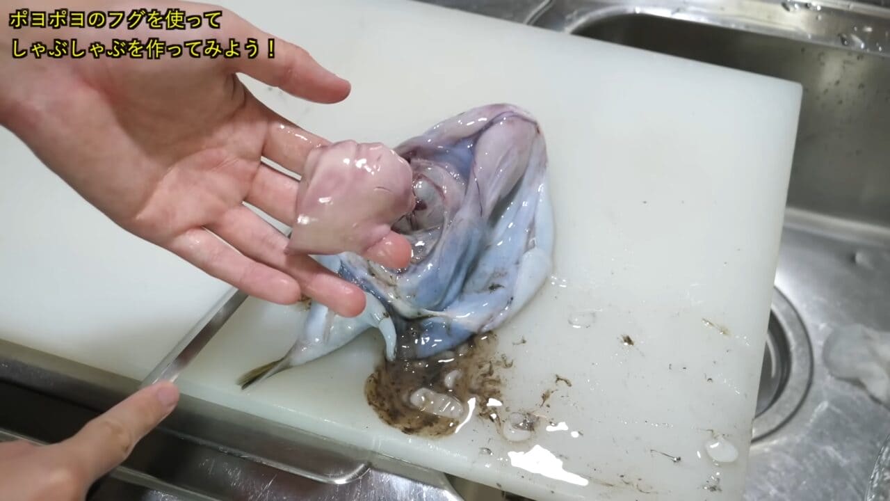 ｜「うわぁー！」全身『水』のフグを割ってみた。出てきた中身に撮影者も驚愕。「こんなの食べてるんだ」「クサい」