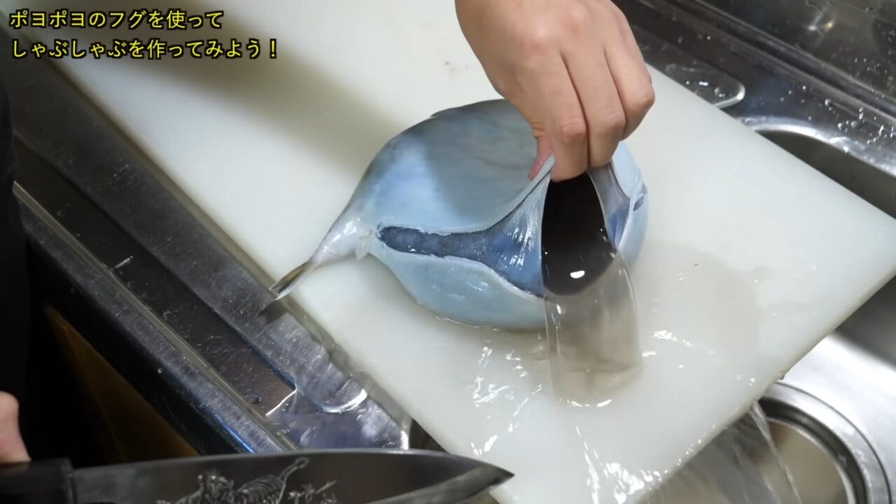 ｜「うわぁー！」全身『水』のフグを割ってみた。出てきた中身に撮影者も驚愕。「こんなの食べてるんだ」「クサい」