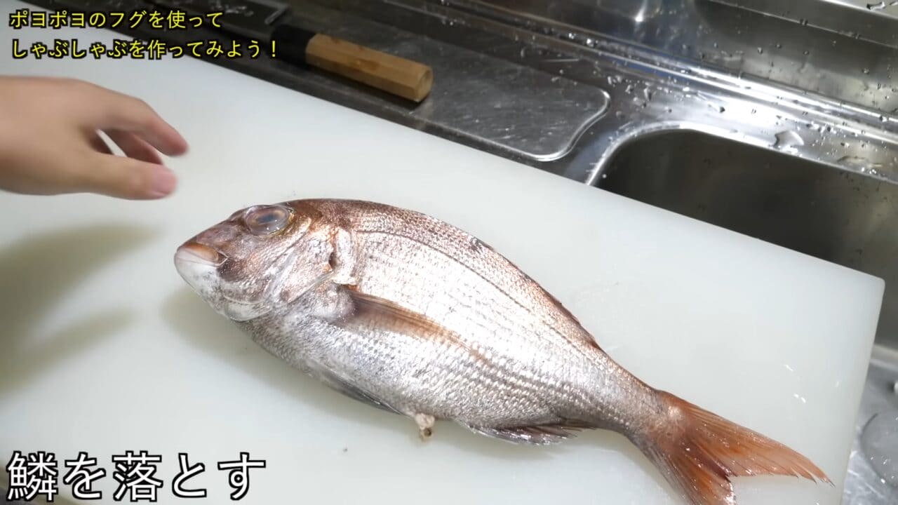 ｜「うわぁー！」全身『水』のフグを割ってみた。出てきた中身に撮影者も驚愕。「こんなの食べてるんだ」「クサい」