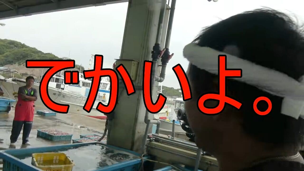 ｜「異常な臭い」「やばいです」水揚げされた『巨大ザメ』を解体。“ふくれた腹”から出てきた中身に撮影者も困惑。「なんだこれ…」