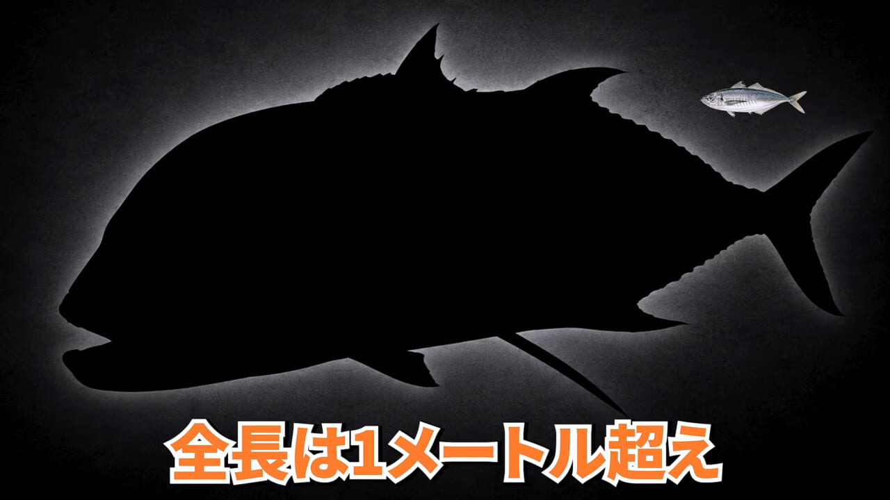 ｜「やばい、コレきたわ…」「人を海へ引きずり込む」世界最大の『化け物アジ』が潜む海の上で3日間過ごしてみたら…。