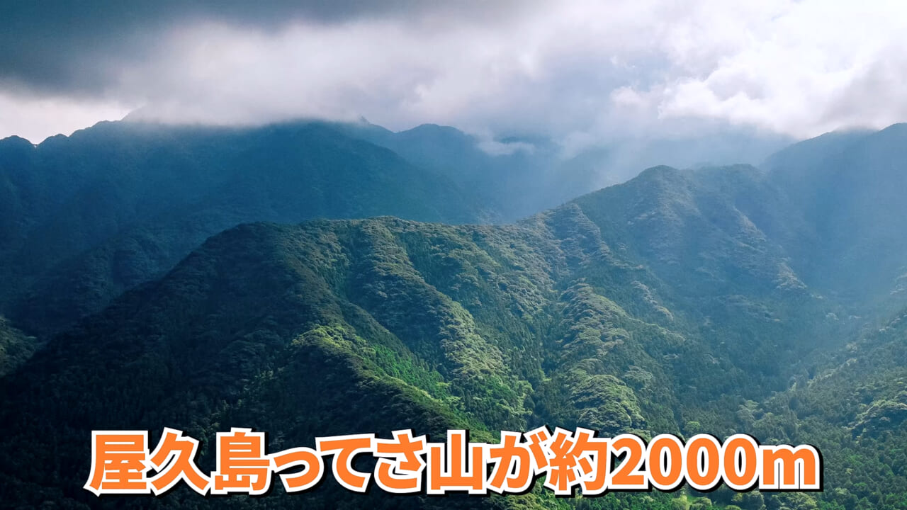 ｜「やばい、コレきたわ…」「人を海へ引きずり込む」世界最大の『化け物アジ』が潜む海の上で3日間過ごしてみたら…。