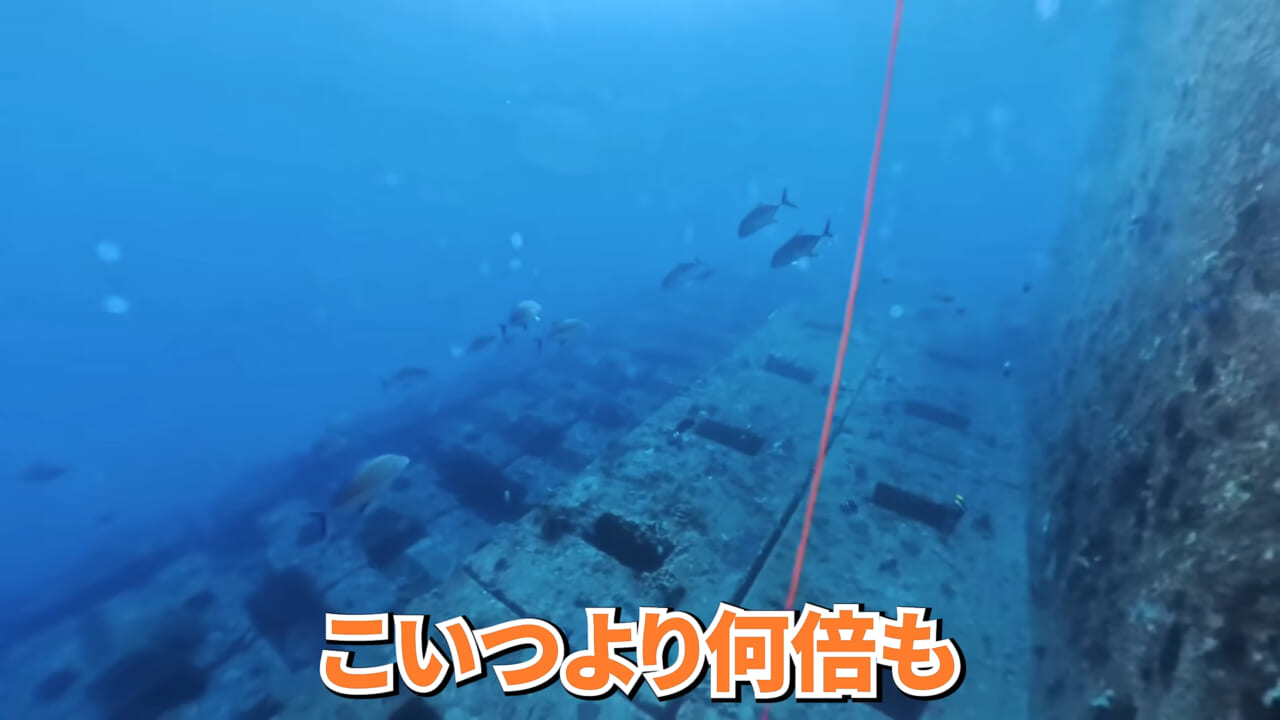 ｜「やばい、コレきたわ…」「人を海へ引きずり込む」世界最大の『化け物アジ』が潜む海の上で3日間過ごしてみたら…。