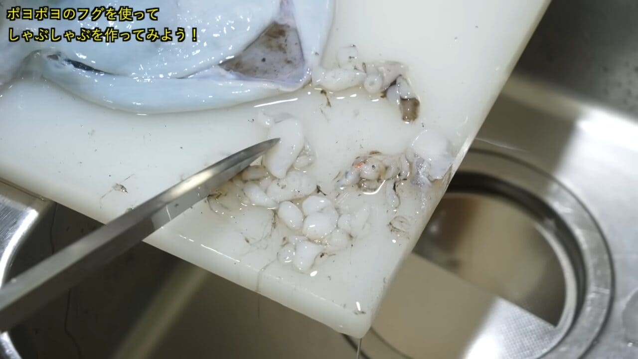｜「うわぁー！」全身『水』のフグを割ってみた。出てきた中身に撮影者も驚愕。「こんなの食べてるんだ」「クサい」