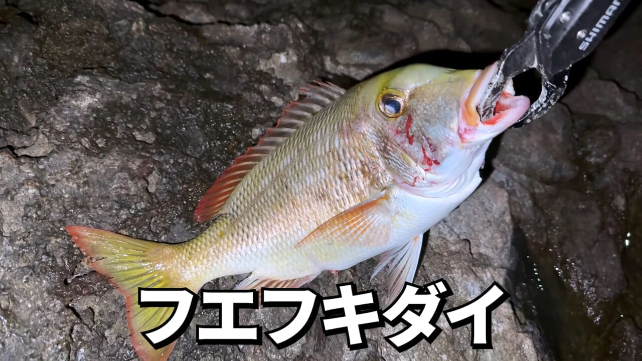 |「やばい、コレきたわ…」「人を海へ引きずり込む」世界最大の『化け物アジ』が潜む海の上で3日間過ごしてみたら…。