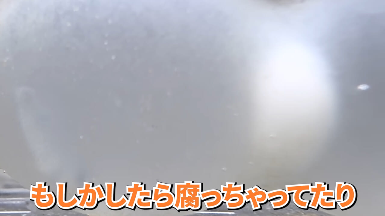 ｜スーパーで売っていた『白い塊』→水槽に入れたら思わぬ結果に。「すごい、貴重な映像」「めっちゃ可愛い」