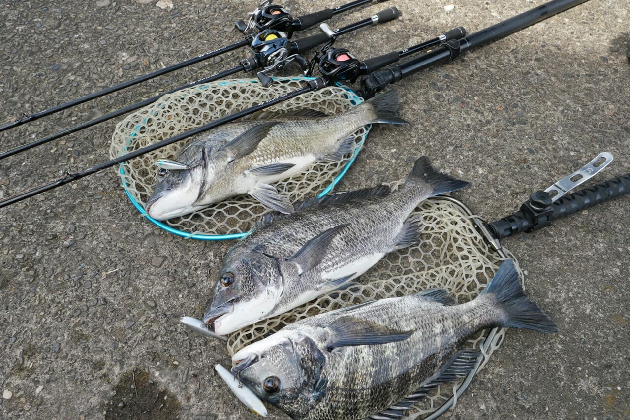｜【チニング最新情報】もりぞーが水面下で進める新計画!? 大阪湾でテスト中の「新作ルアー2種」の正体が明らかに！