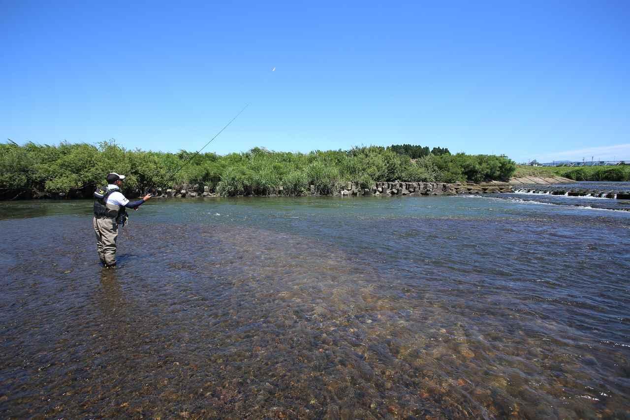 村越正海シーバス釣行記 10年ぶりの秋田県 子吉川 雄物川遠征 ルアマガ