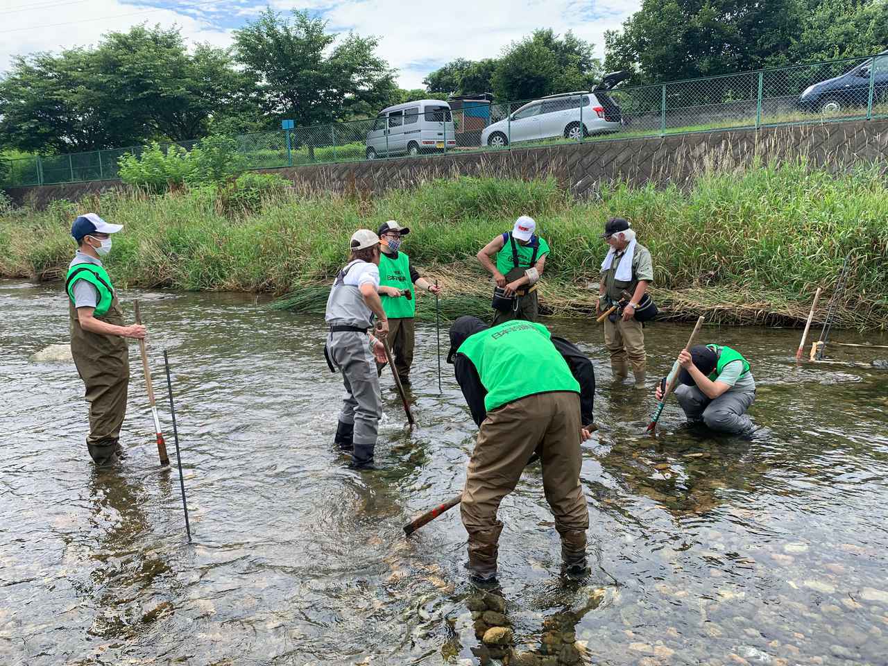 40万年前は多摩川本流だった そんな入間川水系霞川で行われた在来魚を増やす産卵床を造成の話 オイカワを増やそう ルアマガ